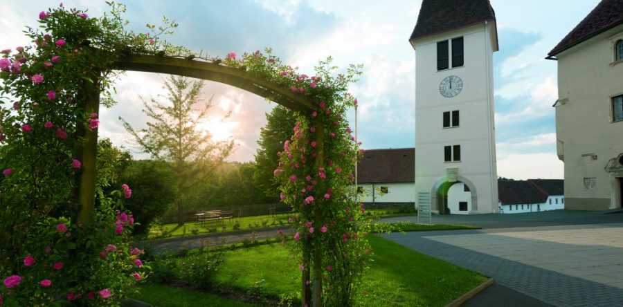 Schloss Seggau, Steiermark, Seggau
