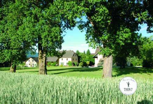 Gutshof Thon7, Kärnten, Grafenstein