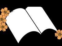 Möglicher Tagesablauf