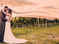 Weingut Holler, Steiermark, Spielfeld