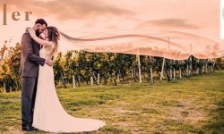 Weingut Holler, Steiermark, Spielfeld